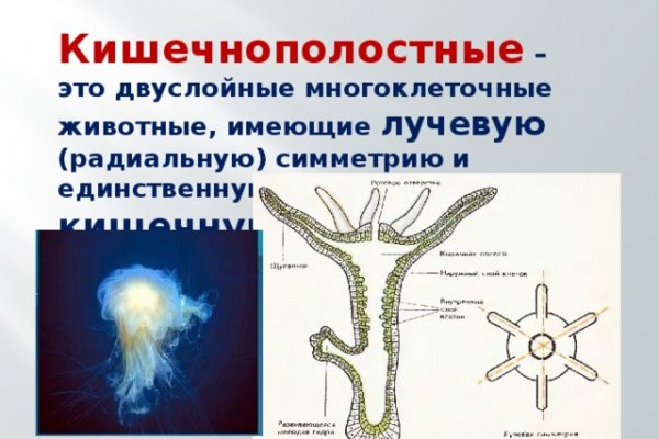 Омг омг сайт официальный