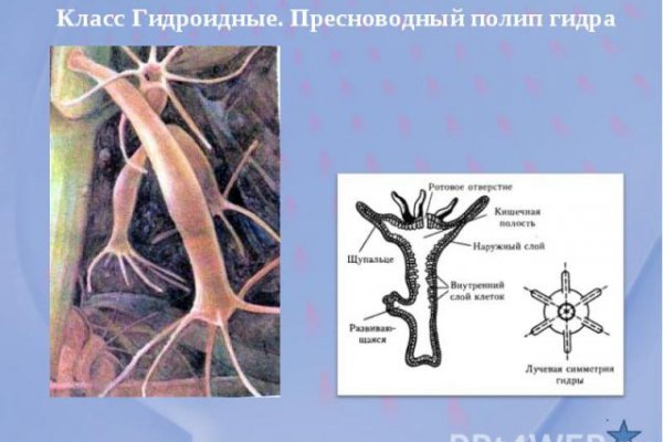 Телеграм канал омг омг